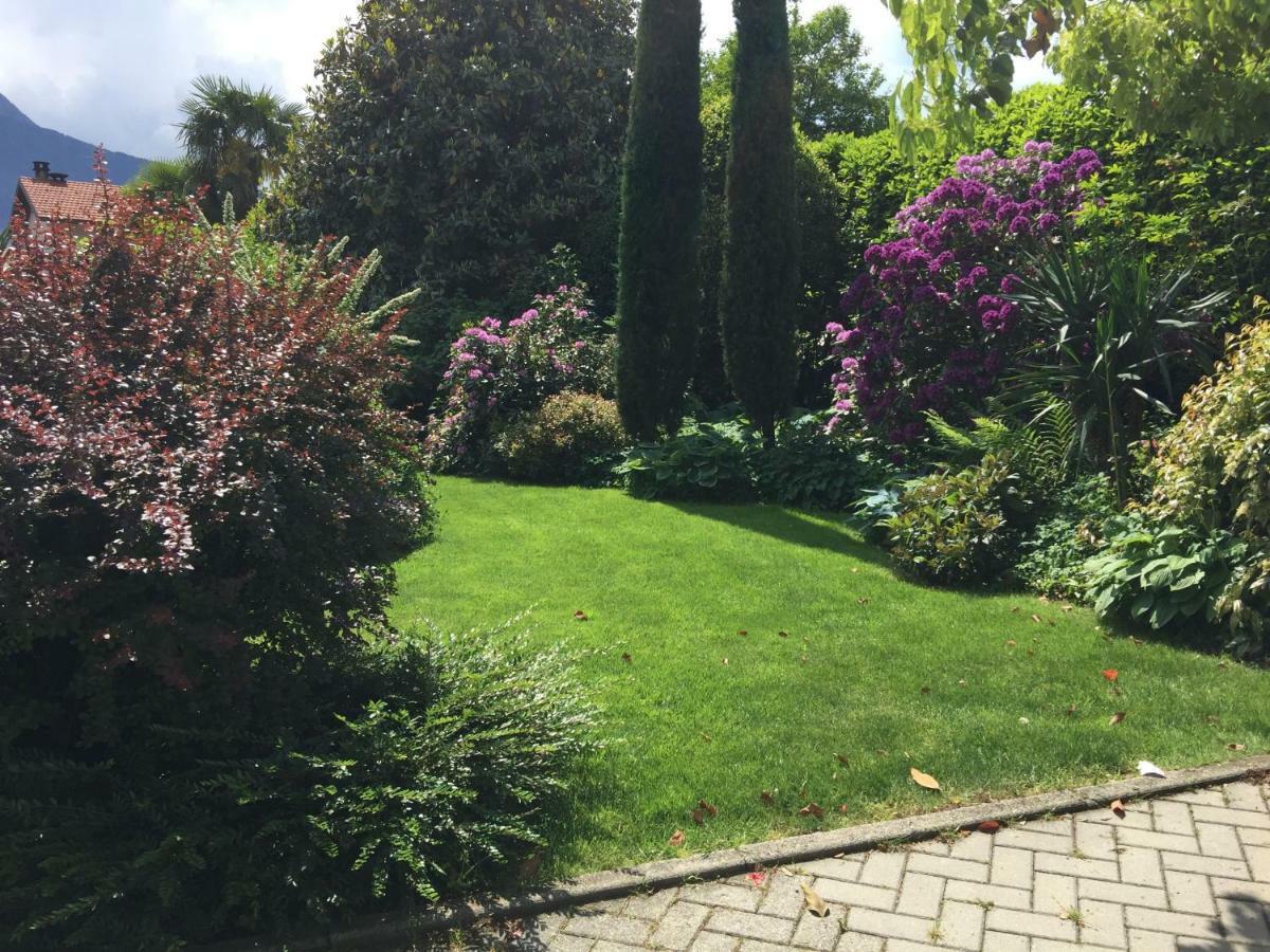Iris 2 Lago Di Como Донго Екстериор снимка