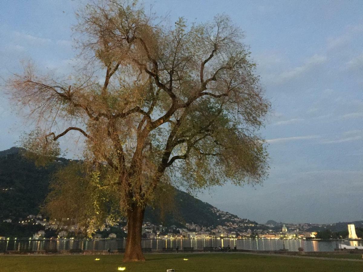 Iris 2 Lago Di Como Донго Екстериор снимка