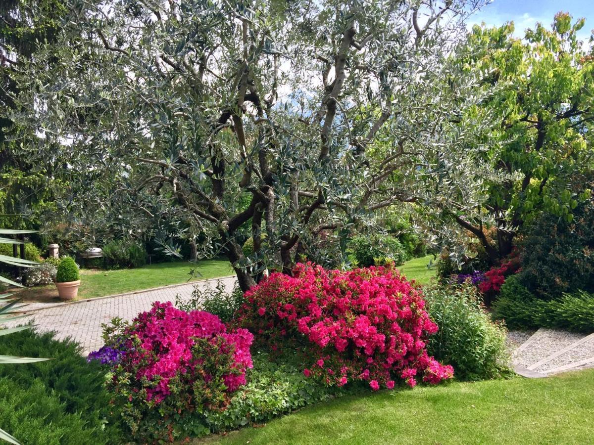 Iris 2 Lago Di Como Донго Екстериор снимка